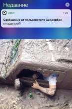 570x859