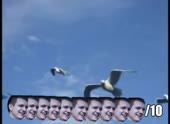 490x360