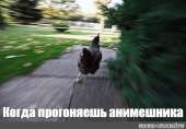 500x349