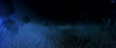 540x228