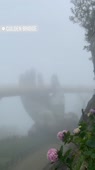 640x1136