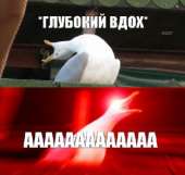 398x377