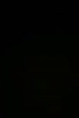 256x384