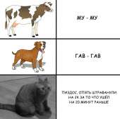 700x699