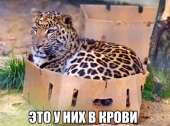600x448