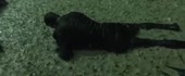 640x266