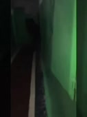 270x360