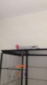 202x360
