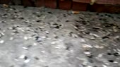960x540