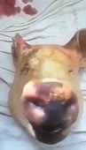 360x626