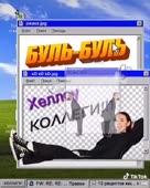 288x360