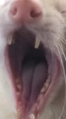 576x1024