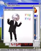 288x360