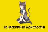 1193x789