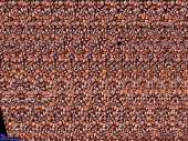 800x600