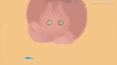460x258