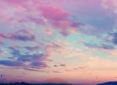 500x366