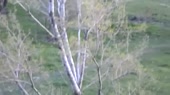 500x280