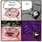 736x736