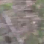 360x360