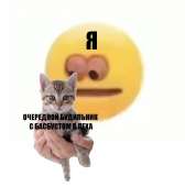 586x590