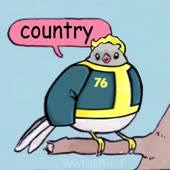 360x360