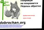 1262x847