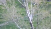 500x280