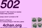 1023x691