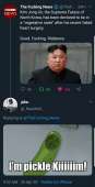 556x1080