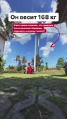640x1136