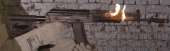 773x232