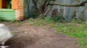 640x360