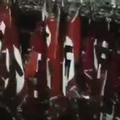 360x360