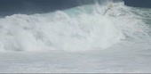 1010x496