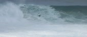 1010x444
