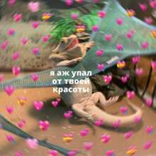 1080x1076