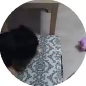 240x240