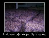 600x474