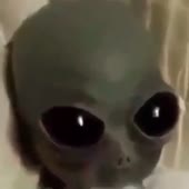 720x720