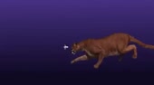 460x256
