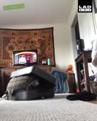 288x360