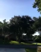 288x360