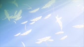 1280x720