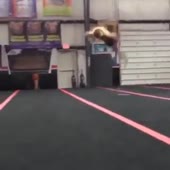 360x360