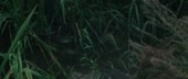 1200x512
