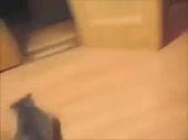 320x240