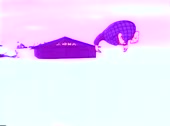 484x360