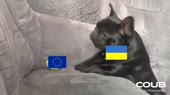 640x360