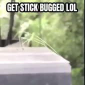 360x360